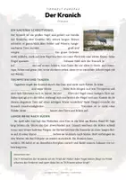 Vorschau - Arbeitsblätter - Kranich Steckbrief – Tiere Europas | Sachunterricht Grundschule Arbeitsblatt - Seite 2