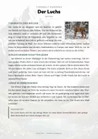 Vorschau - Arbeitsblätter - Luchs Steckbrief – Tiere Europas | Sachunterricht Grundschule Arbeitsblatt - Seite 1