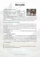 Vorschau - Arbeitsblätter - Luchs Steckbrief – Tiere Europas | Sachunterricht Grundschule Arbeitsblatt - Seite 2