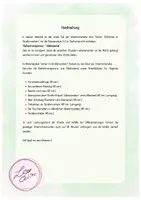 Vorschau - Unterrichtsreihen - Sicherheit im Straßenverkehr - Reihentransparenz - Seite 1