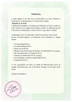 Vorschau - Stundenentwürfe - Sicherheit im Straßenverkehr - Sichtbarkeit auf der Straße - Seite 1