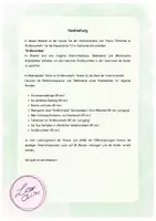 Vorschau - Stundenentwürfe - Sicherheit im Straßenverkehr - Straßenschilder - Seite 1