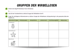 Vorschau - Arbeitsblätter - Gruppen der Wirbellosen - Seite 3