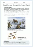 Vorschau - Arbeitsblätter - Das Leben der Neandertaler in der Eiszeit – Klima, Anpassungen, Jagd & Vergleich (Arbeitsblatt mit Kartenarbeit) - Seite 2