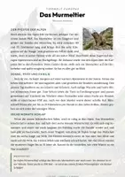 Vorschau - Arbeitsblätter - Murmeltier Steckbrief – Lesetext, Lückentext & Arbeitsblatt | Sachunterricht Grundschule - Seite 1