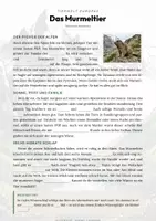 Vorschau - Arbeitsblätter - Murmeltier Steckbrief – Lesetext, Lückentext & Arbeitsblatt | Sachunterricht Grundschule - Seite 2