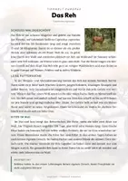 Vorschau - Arbeitsblätter - Reh Steckbrief – Lesetext, Lückentext & Arbeitsblatt | Sachunterricht Grundschule - Seite 1