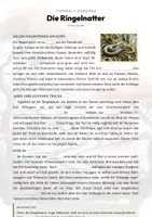 Vorschau - Arbeitsblätter - Ringelnatter Steckbrief – Lesetext, Lückentext & Arbeitsblatt | Sachunterricht Grundschule - Seite 2