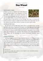Vorschau - Arbeitsblätter - Wiesel Steckbrief – Lesetext, Lückentext & Arbeitsblatt | Sachunterricht Grundschule - Seite 1