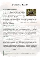 Vorschau - Arbeitsblätter - Wildschwein Steckbrief – Lesetext, Lückentext & Arbeitsblatt | Sachunterricht Grundschule - Seite 2