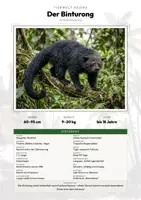 Vorschau - Arbeitsblätter - Tiere des Regenwaldes – 40 Tier-Steckbriefe – Sachunterricht Grundschule – Materialpaket - Deckblatt