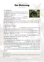 Vorschau - Arbeitsblätter - Tiere des Regenwaldes – 40 Tier-Steckbriefe – Sachunterricht Grundschule – Materialpaket - Seite 2
