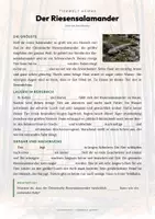 Vorschau - Arbeitsblätter - Amphibien der Welt – 9 Tier-Steckbriefe – Sachunterricht Grundschule – Materialpaket - Seite 2