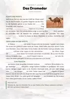 Vorschau - Arbeitsblätter - Tiere Mongolei – 11 Steckbriefe – Sachunterricht Grundschule – Materialpaket - Seite 3