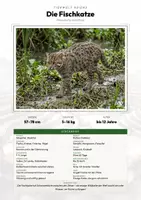 Vorschau - Arbeitsblätter - Großkatzen & Wildkatzen – 17 Tier-Steckbriefe – Sachunterricht Grundschule – Materialpaket - Deckblatt