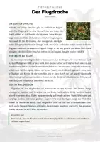 Vorschau - Arbeitsblätter - Flugdrache Steckbrief – Lesetext, Lückentext & Arbeitsblatt | Sachunterricht Grundschule - Seite 1