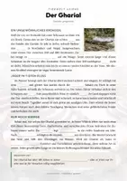 Vorschau - Arbeitsblätter - Krokodile & Alligatoren – 5 Tier-Steckbriefe – Sachunterricht Grundschule – Materialpaket - Seite 2
