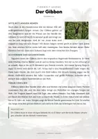 Vorschau - Arbeitsblätter - Gibbon Steckbrief – Lesetext, Lückentext & Arbeitsblatt | Sachunterricht Grundschule - Seite 1