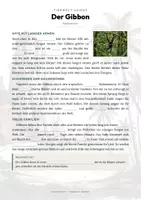 Vorschau - Arbeitsblätter - Gibbon Steckbrief – Lesetext, Lückentext & Arbeitsblatt | Sachunterricht Grundschule - Seite 2