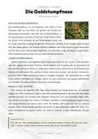 Vorschau - Arbeitsblätter - Goldstumpfnase Steckbrief – Lesetext, Lückentext & Arbeitsblatt | Sachunterricht - Seite 1