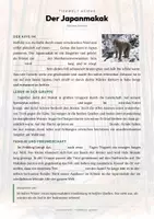 Vorschau - Arbeitsblätter - Japanmakak Steckbrief – Schneeaffe Lesetext, Lückentext | Sachunterricht - Seite 2