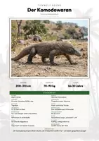 Vorschau - Arbeitsblätter - Skurrile & außergewöhnliche Tiere – 23 Tier-Steckbriefe – Sachunterricht Grundschule – Materialpaket - Seite 1