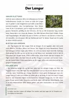 Vorschau - Arbeitsblätter - Langur Steckbrief – Lesetext, Lückentext & Arbeitsblatt | Sachunterricht Grundschule - Seite 1