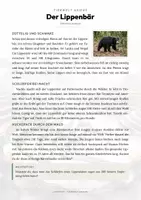 Vorschau - Arbeitsblätter - Lippenbär Steckbrief – Lesetext, Lückentext & Arbeitsblatt | Sachunterricht Grundschule - Seite 1