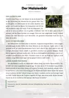 Vorschau - Arbeitsblätter - Malaienbär Steckbrief – Lesetext, Lückentext & Arbeitsblatt | Sachunterricht Grundschule - Seite 1