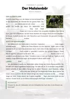 Vorschau - Arbeitsblätter - Malaienbär Steckbrief – Lesetext, Lückentext & Arbeitsblatt | Sachunterricht Grundschule - Seite 2