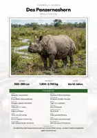 Vorschau - Arbeitsblätter - Nashorn Steckbrief – Tiere Asiens | Sachunterricht Grundschule Arbeitsblatt - Deckblatt