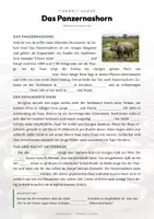 Vorschau - Arbeitsblätter - Nashorn Steckbrief – Tiere Asiens | Sachunterricht Grundschule Arbeitsblatt - Seite 2