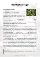 Vorschau - Arbeitsblätter - Nashornvogel Steckbrief – Tiere Asiens | Sachunterricht Grundschule Arbeitsblatt - Seite 2