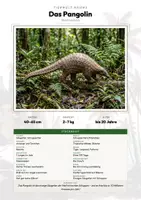 Vorschau - Arbeitsblätter - Tiere Indien – 19 Steckbriefe – Sachunterricht Grundschule – Materialpaket - Deckblatt