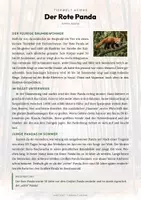 Vorschau - Arbeitsblätter - Roter Panda Steckbrief – Tiere Asiens | Sachunterricht Grundschule Arbeitsblatt - Seite 1