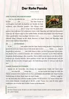 Vorschau - Arbeitsblätter - Roter Panda Steckbrief – Tiere Asiens | Sachunterricht Grundschule Arbeitsblatt - Seite 2