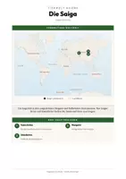 Vorschau - Arbeitsblätter - Tiere Turkmenistan – 5 Steckbriefe – Sachunterricht Grundschule – Materialpaket - Seite 3