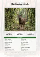 Vorschau - Arbeitsblätter - Tiere Pakistan – 10 Steckbriefe – Sachunterricht Grundschule – Materialpaket - Seite 1