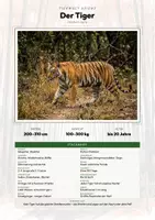 Vorschau - Arbeitsblätter - Tiger Steckbrief – Tiere Asiens | Sachunterricht Grundschule Arbeitsblatt - Deckblatt