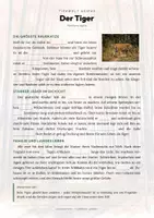 Vorschau - Arbeitsblätter - Tiger Steckbrief – Tiere Asiens | Sachunterricht Grundschule Arbeitsblatt - Seite 2
