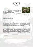 Vorschau - Arbeitsblätter - Tokeh Steckbrief – Tiere Asiens | Sachunterricht Grundschule Arbeitsblatt - Seite 2