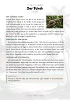 Vorschau - Arbeitsblätter - Tokeh Steckbrief – Tiere Asiens | Sachunterricht Grundschule Arbeitsblatt - Seite 1