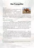 Vorschau - Arbeitsblätter - Trampeltier Steckbrief – Tiere Asiens | Sachunterricht Grundschule Arbeitsblatt - Seite 2