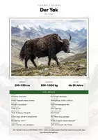 Vorschau - Arbeitsblätter - Yak Steckbrief – Tiere Asiens | Sachunterricht Grundschule Arbeitsblatt - Deckblatt