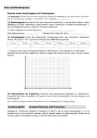 Vorschau - Arbeitsblätter - Puls messen und Herzfequenz – Praxisbox Biologie - Seite 2