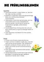 Vorschau - Arbeitsblätter - Frühlingsblumen: Tulpe, Narzisse, Hyazinthe, Primel - Frühblüher - Seite 2