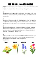 Vorschau - Arbeitsblätter - Frühlingsblumen: Tulpe, Narzisse, Hyazinthe, Primel - Frühblüher - Seite 3
