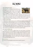 Vorschau - Arbeitsblätter - Büffel Steckbrief – Tiere Afrikas | Sachunterricht Grundschule Arbeitsblatt - Seite 1
