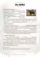 Vorschau - Arbeitsblätter - Büffel Steckbrief – Tiere Afrikas | Sachunterricht Grundschule Arbeitsblatt - Seite 2