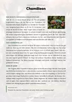 Vorschau - Arbeitsblätter - Chamäleon Steckbrief – Tiere Afrikas | Sachunterricht Grundschule Arbeitsblatt - Seite 1
